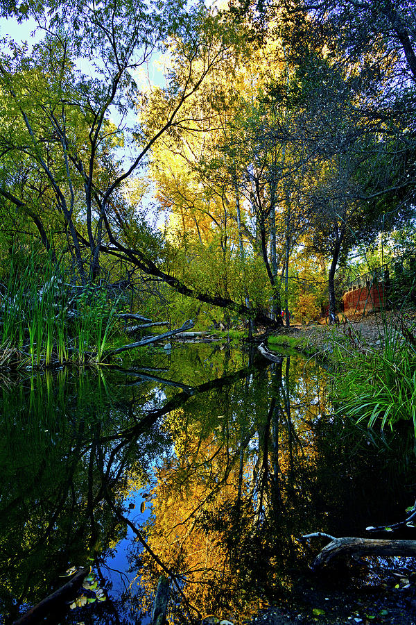 Beautiful Reflection in Los Gatos Creek Water Photograph by Amazing Action Photo Video