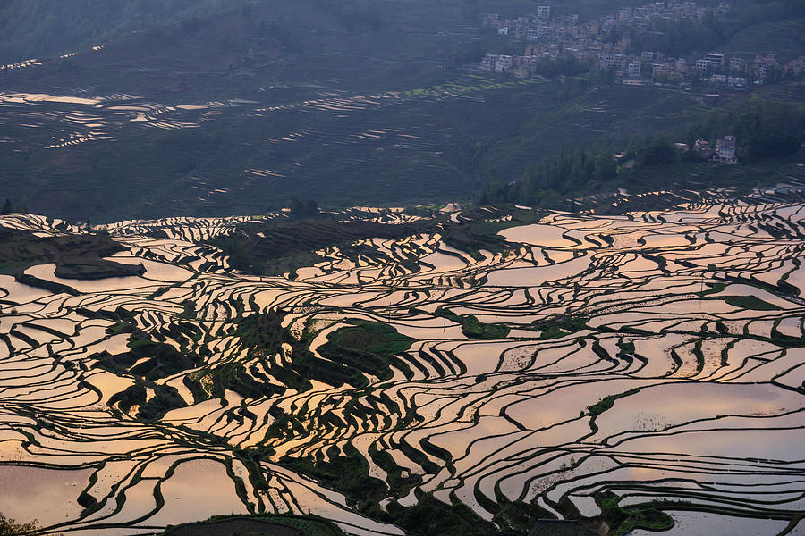 Beautiful rice terraces in China Photograph by Janusz Kolondra - Fine ...