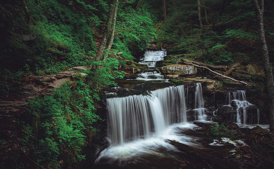 Beautiful Ricketts Glen Waterfall Green Photograph by Dan Sproul