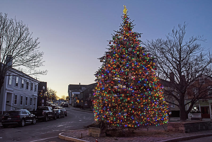 Beautiful Rockport MA Christmas tree at Sunset 2022 Photograph by Toby