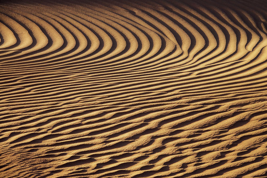 Beautiful sand dune pattern in wind Photograph by Mikhail Kokhanchikov