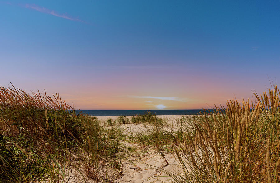 Beautiful sandy beach at sunset among the dunes, sea coast in summer ...