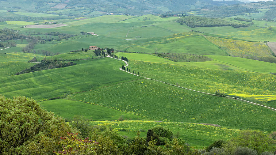 Beautiful Scene in Tuscany Photograph by Lindley Johnson - Fine Art America