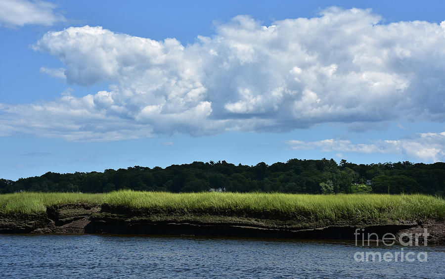 Beautiful Scenic Views Of A Marshland Landscape Photograph By Dejavu Designs Fine Art America