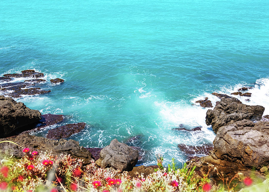 Flower Photograph - Beautiful Seaside Rocky Cliff With Blue Water by Good Focused