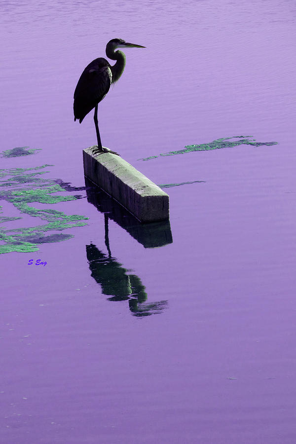 Beautiful Silhouette Violett 300 Painting