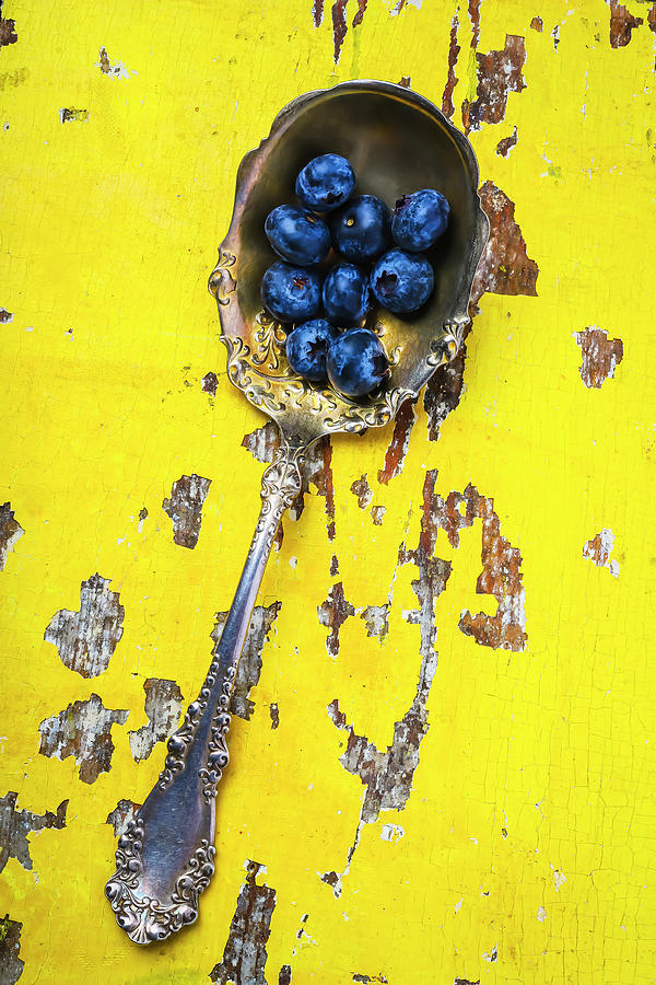 Beautiful Silver Spoon And Blueberries Photograph by Garry Gay