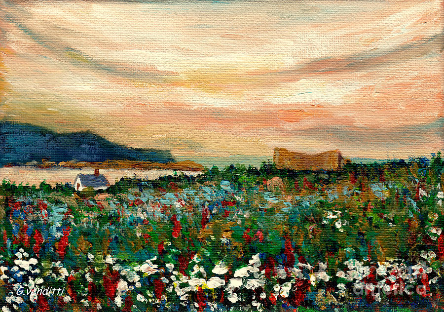 Beautiful Sky Gaspe Sunrise Bonaventure Island Field Of Daisies Grace Venditti Canadian Artist Painting by Grace Venditti