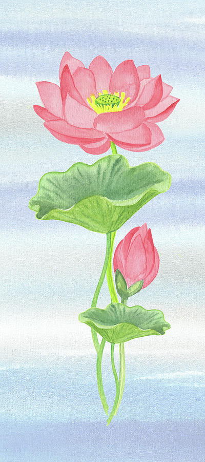 Beautiful Soft Pink Green Blue Watercolor Lotus  Painting by Irina Sztukowski