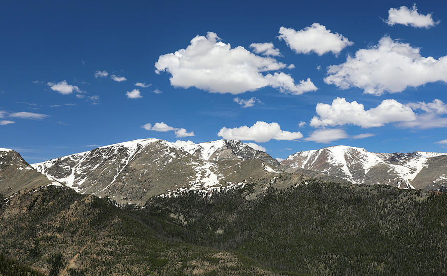 Beautiful Summer Landscape Colorado Rockies Photograph by Dan Sproul
