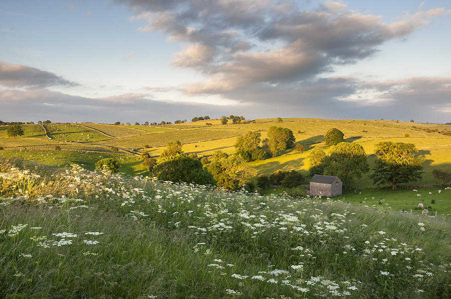 Beautiful summer landscape in Staffordshire Photograph by Photos by R A Kearton
