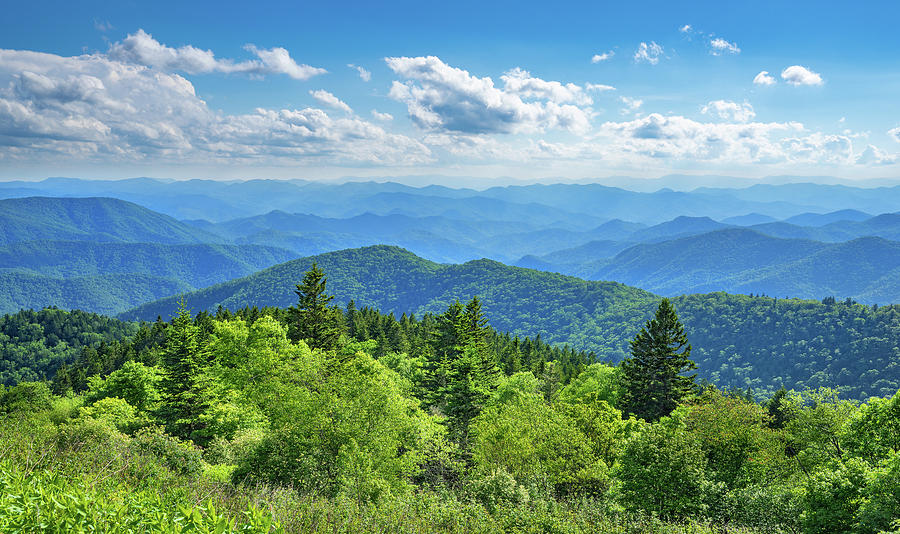 Blue Ridge Mountains Summer Photograph by Margaret Wiktor - Fine Art ...