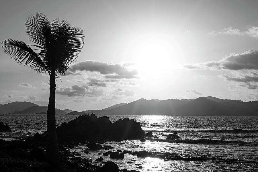 Beautiful Sunrise over Saint John from Sapphire Beach on Saint Thomas in the Caribbean Palm Tree BW Photograph by Toby McGuire