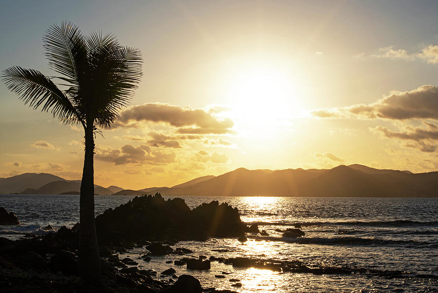 Beautiful Sunrise over Saint John from Sapphire Beach on Saint Thomas in the Caribbean Palm Tree Photograph by Toby McGuire