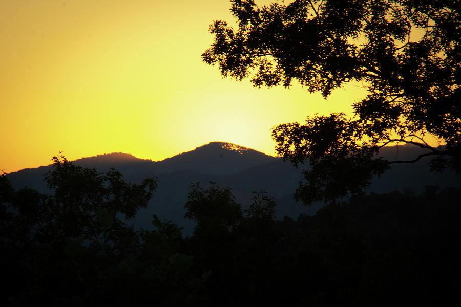 Beautiful Sunset Photograph by Demetrai Johnson