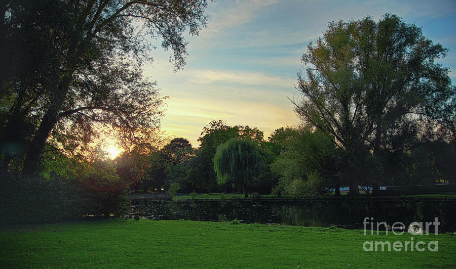 Beautiful sunset in the park next to a pond Photograph by Mendelex Photography