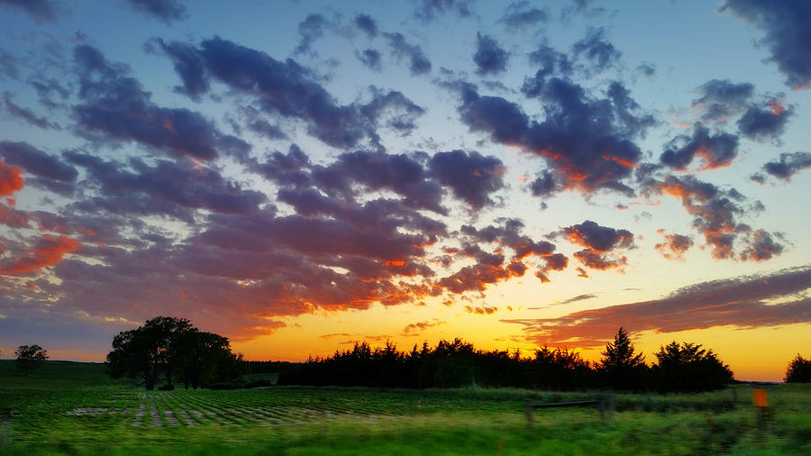 Beautiful Sunset Near Sumner, Nebraska  Photograph by Ally White