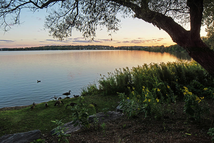Beautiful Sunset on Lake Quannapowitt Wakefield MA Photograph by Toby McGuire Beautiful Sunset on Lake Quannapowitt Wakefield MA Photograph by Toby McGuire