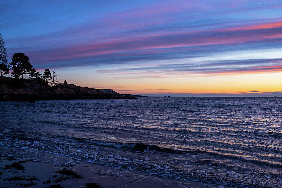Beautiful Sunset on White Beach in Manchester-by-the-Sea Massachusetts Tree Photograph by Toby McGuire