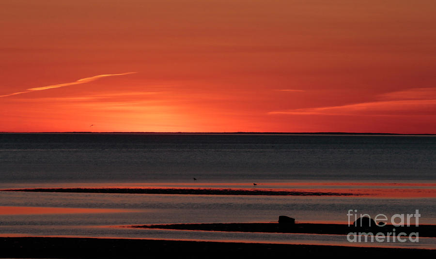 Beautiful Sunset Photograph by Sharon Mayhak