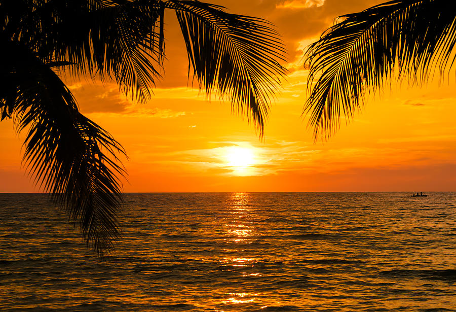 Beautiful Sunset Tropical Beach With Palm Tree And Blue Sky For Travel