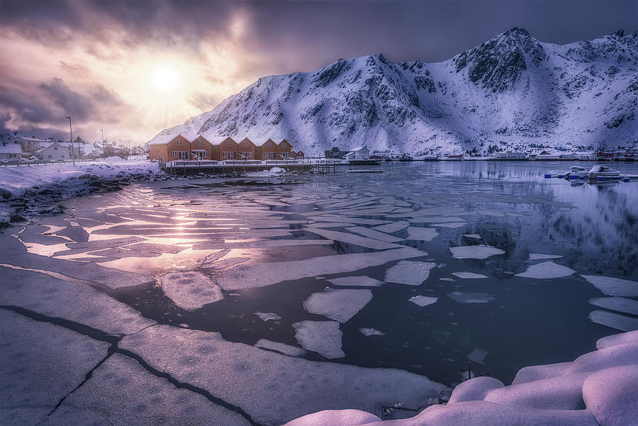 Beautiful Sunshine on Ice lofoten Photograph by Celia Zhen