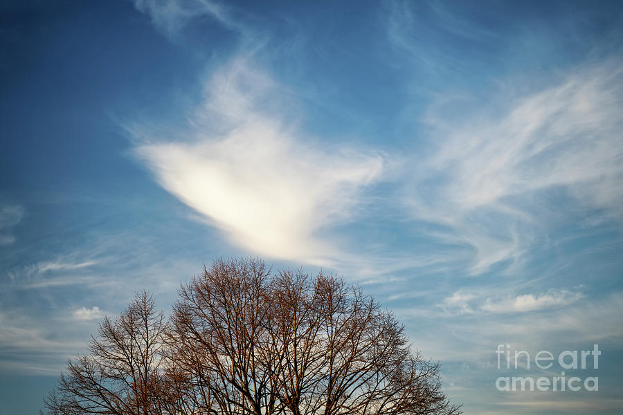 Beautiful swirls of clouds on a blue sky above trees Photograph by Mendelex Photography