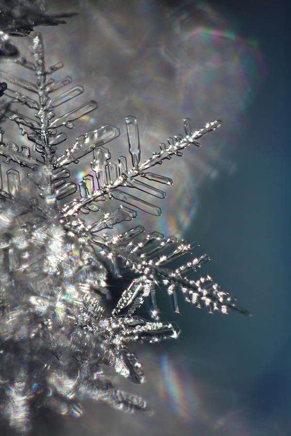 Beautiful transparent snowflake Photograph by Ulrich Kunst And Bettina Scheidulin
