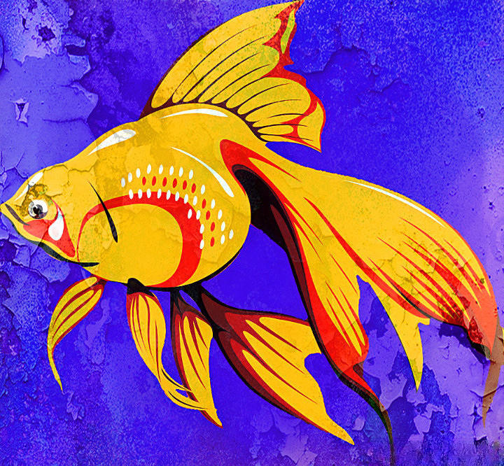 Beautiful Tropical Goldfish Digital Art