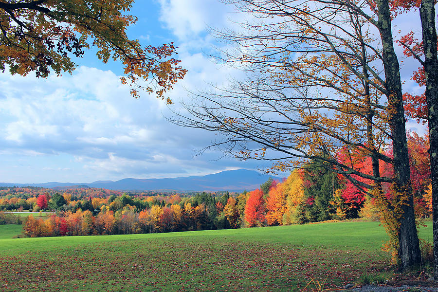 Fall Photograph - Beautiful Vermont by William Alexander