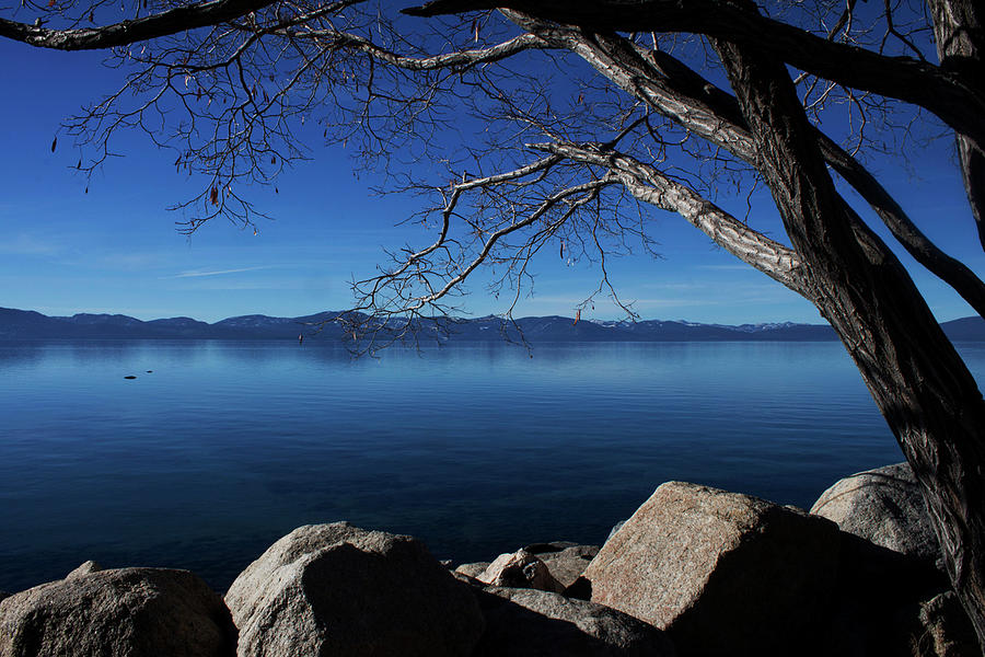 Beautiful View of Lake Tahoe Photograph by Ivete Basso Photography