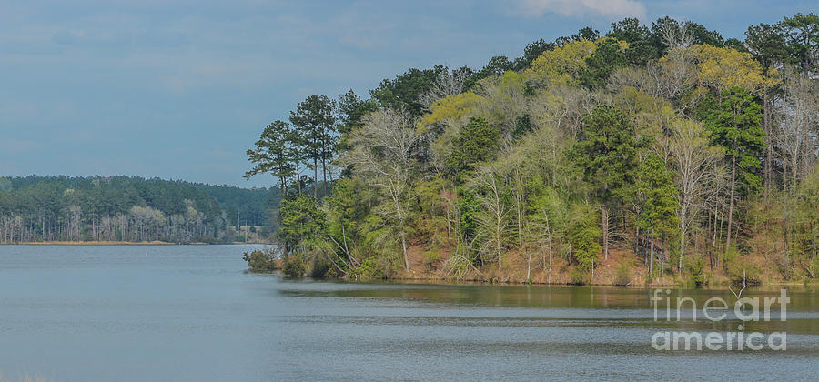 #1 View of Okhissa Lake Recreation Area in Homochitto National Forest ...