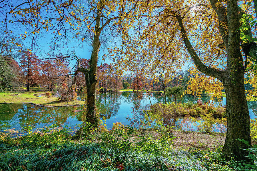Beautiful View Overlooking A Lake At Spring Grove Cemetery Cincinnati Ohio #2 Photograph by Dave Morgan