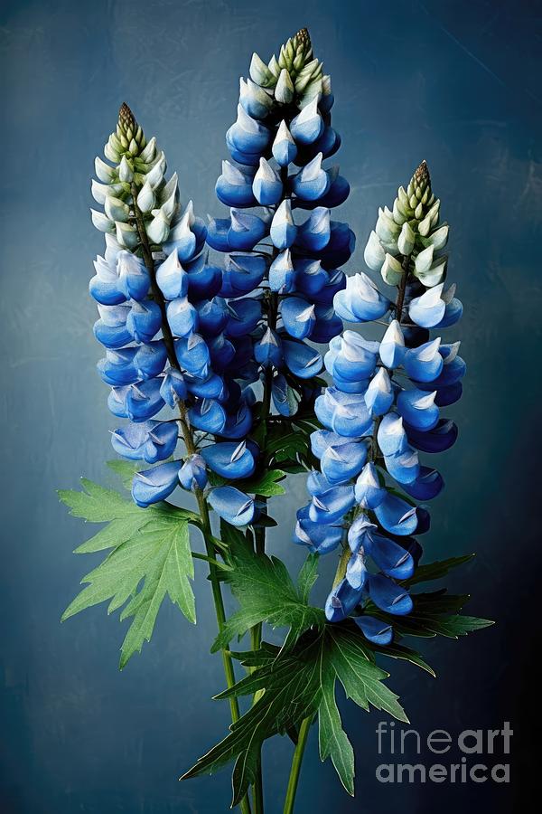 Beautiful Violet Arctic Lupine Painting by Simone Edward Artwork Beautiful Violet Arctic Lupine Painting by Simone Edward Artwork