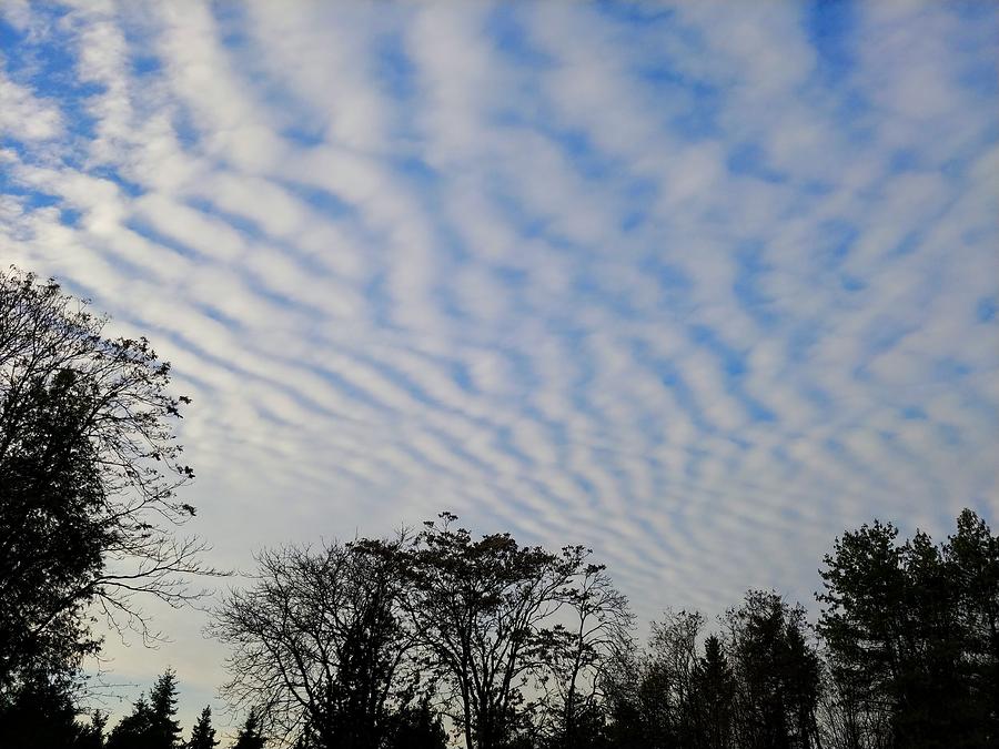 Beautiful Wave Clouds Photograph by Darrell MacIver