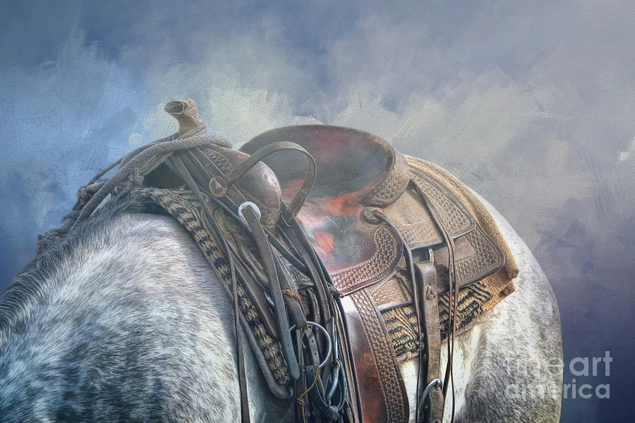 Horse Photograph - Beautiful Western Saddle by Elisabeth Lucas