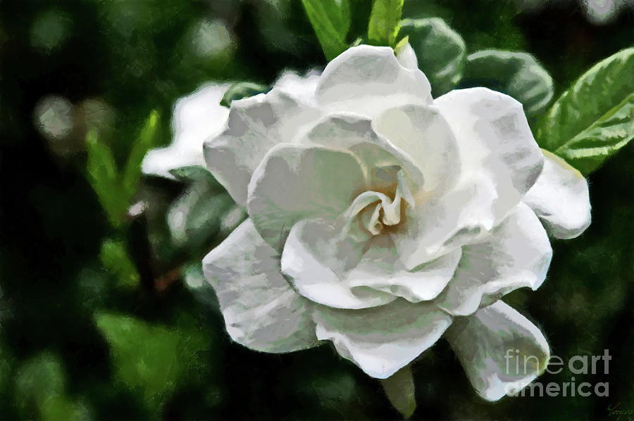 Beautiful White Flower Digital Art by Yorgos Daskalakis