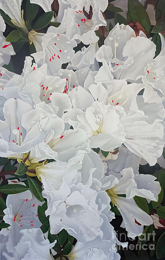 Beautiful White Flowers  Painting by Gull G