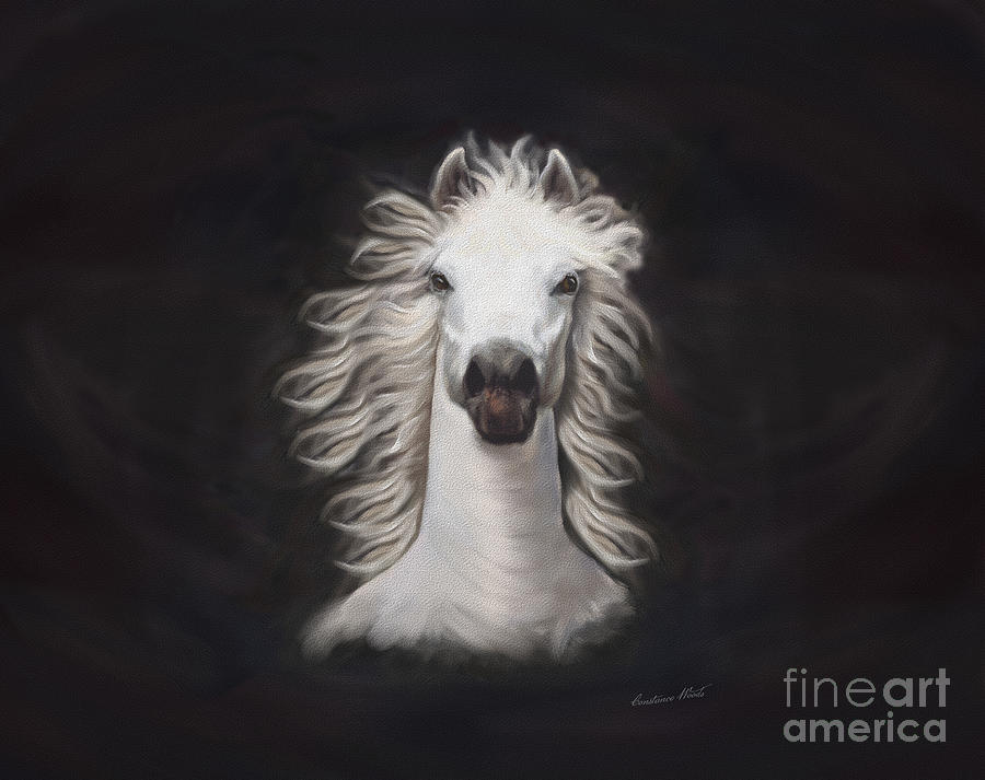 Beautiful White Horse Digital Art by Constance Woods