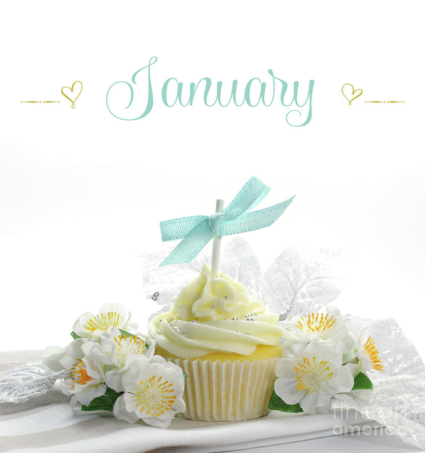 Beautiful white snow theme cupcake with seasonal flowers Photograph by Milleflore Images