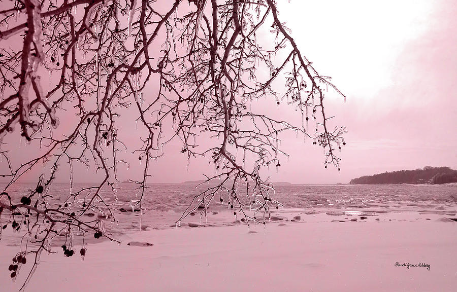 Beautifully Cold Photograph by Randi Grace Nilsberg