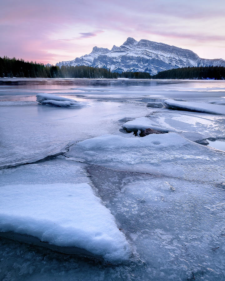 Beautifully coloured winter sunset In Canadian Rockies Photograph by Peter Kolejak