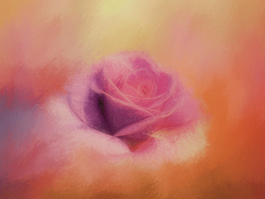 Beautifully Painted Rose Digital Art by Terry Davis