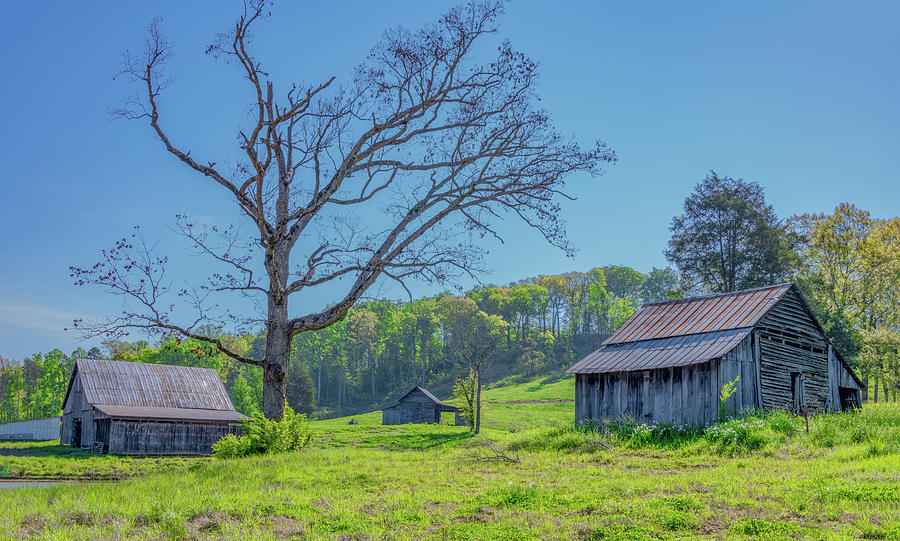 Beautifully Rustic in Tennessee Photograph by Marcy Wielfaert