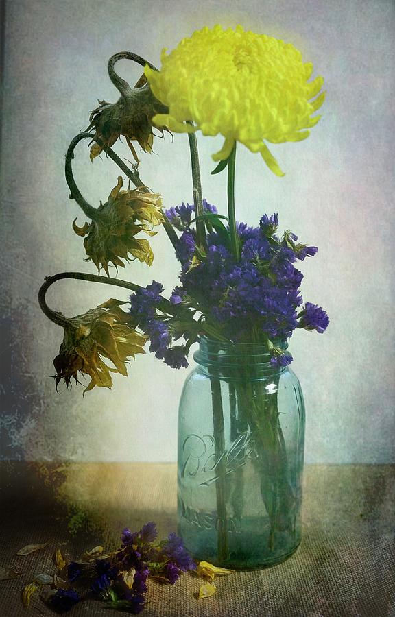 Beauty and Decay Photograph by Gail Stephenson | Fine Art America