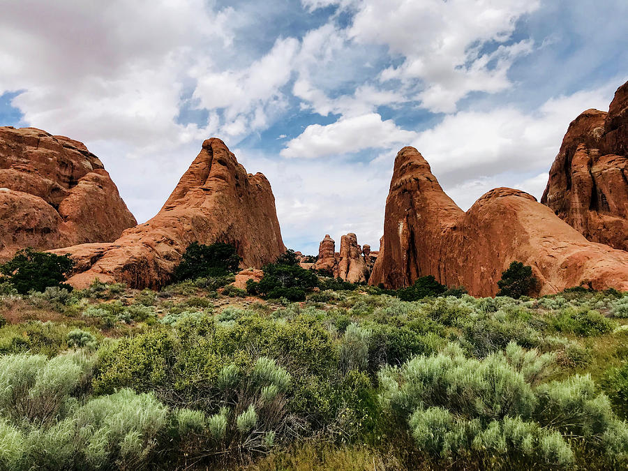 Beauty At Arches National Park Photograph