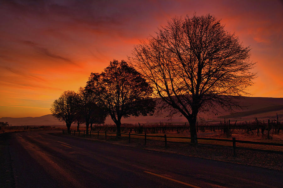 Beauty at Sunrise Photograph by Lynn Hopwood
