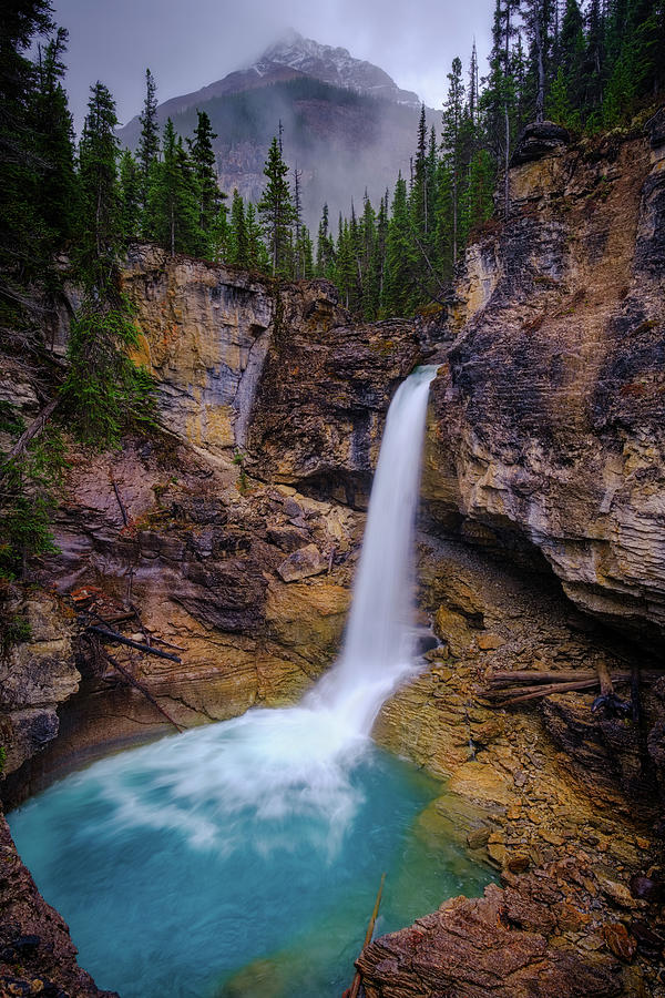 Beauty Creek Falls-Icefields Parkway, Banff National Park, Alberta, Canada Photograph by Yves Gagnon
