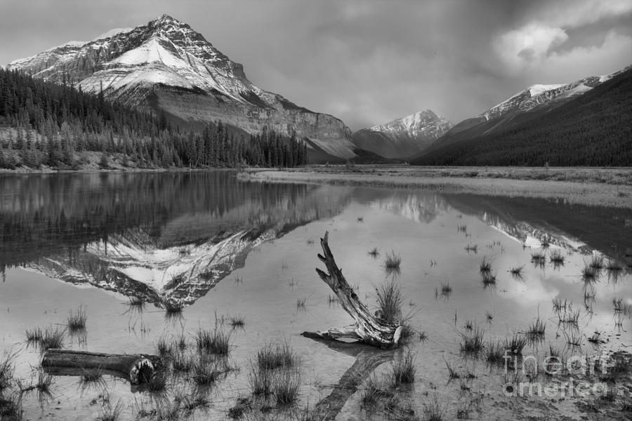 Beauty Creek Stormy Reflections Black And White Photograph by Adam Jewell