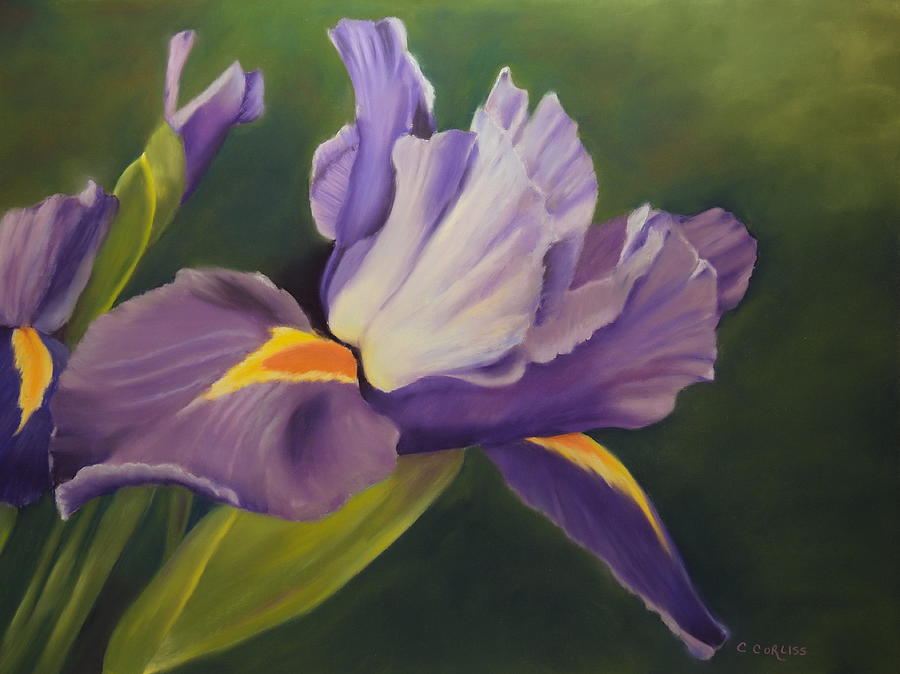 Beauty Is In the Iris Pastel by Carol Corliss